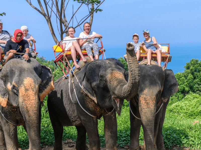 Families enjoying a memorable elephant trekking adventure with breathtaking views of lush greenery and the ocean in Phuket.