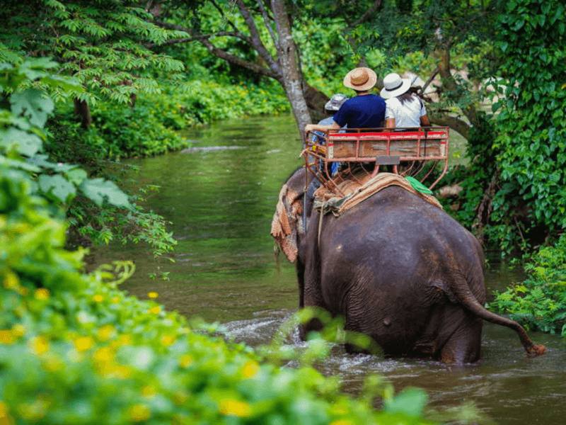 Elephant trekking in phuket: Tourists enjoying an elephant trekking tour through a scenic river trail surrounded by lush greenery in Phuket.