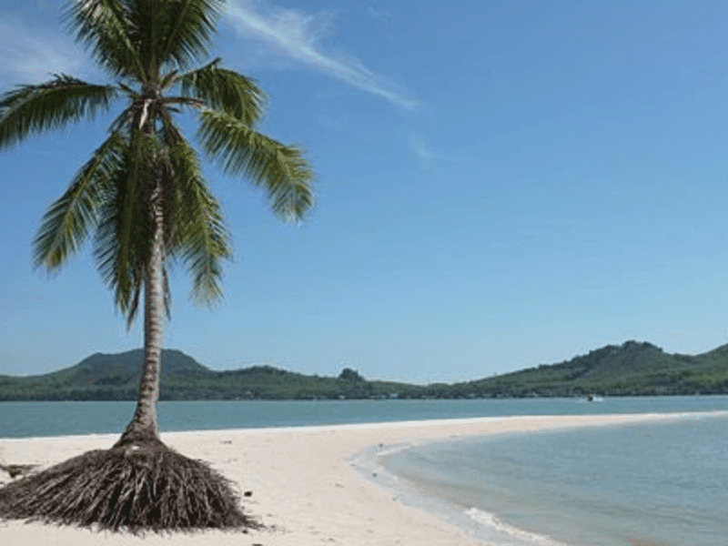 A scenic view of Koh Yao Yai's pristine beach with a single palm tree and calm waters under a clear blue sky.