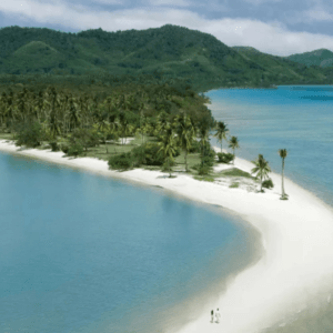 Yao Yai Island Private Charter: Serene sandy beach on Koh Yao Yai with a leaning palm tree under a bright blue sky.