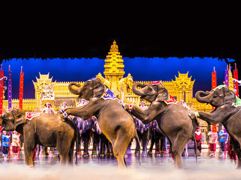 Elephants performing on stage during a grand cultural show at Phuket Fantasea, with golden temple-themed backdrops and traditional costumes.