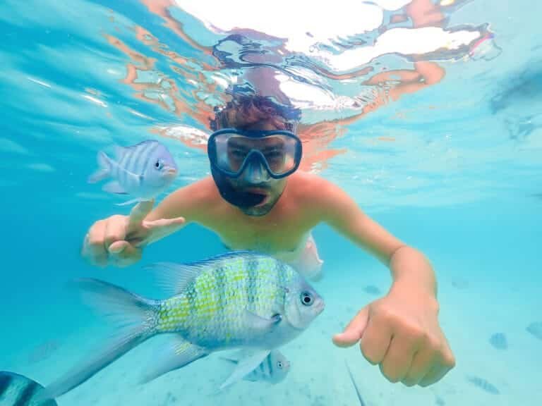 snorkelling and scuba diving in Phuket: A snorkeler underwater surrounded by vibrant tropical fish in clear turquoise waters.