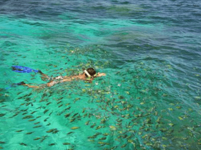 Person snorkeling in turquoise waters surrounded by a vibrant school of fish near Khai Island.