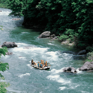 White Water Rafting in Phuket: Group enjoying an exhilarating white water rafting experience in Phuket's lush green surroundings.