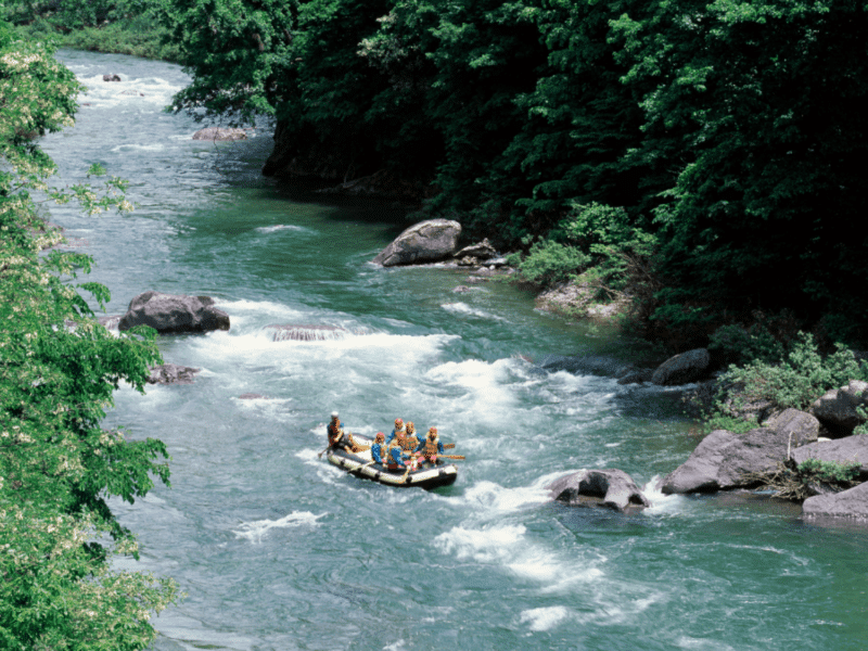 White Water Rafting in Phuket: Group enjoying an exhilarating white water rafting experience in Phuket's lush green surroundings.